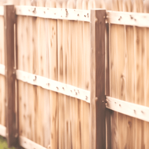 Feather edged fencing